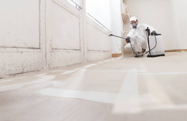 24/7 Emergency Basement Mold Remediation experts in Millstone Township, NJ